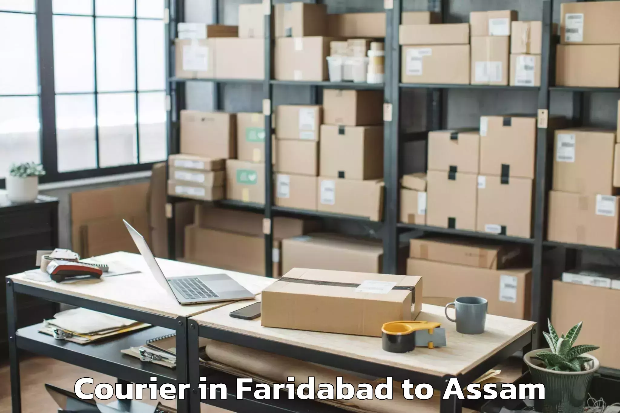 Book Your Faridabad to Sonapur Courier Today